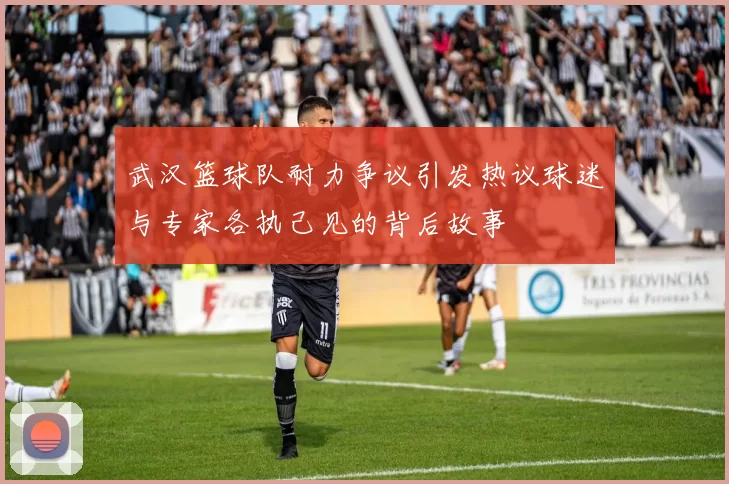 武汉篮球队耐力争议引发热议球迷与专家各执己见的背后故事