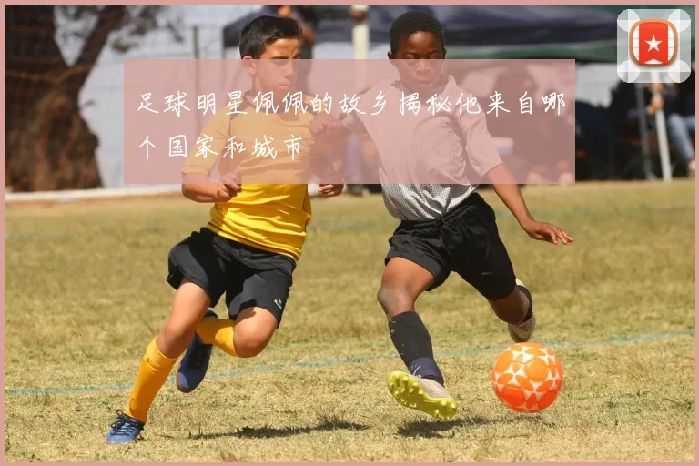 足球明星佩佩的故乡揭秘他来自哪个国家和城市