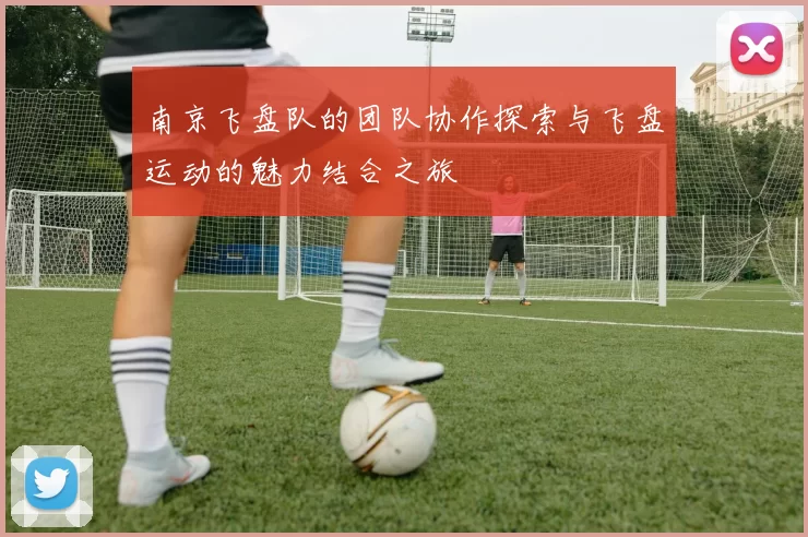 南京飞盘队的团队协作探索与飞盘运动的魅力结合之旅
