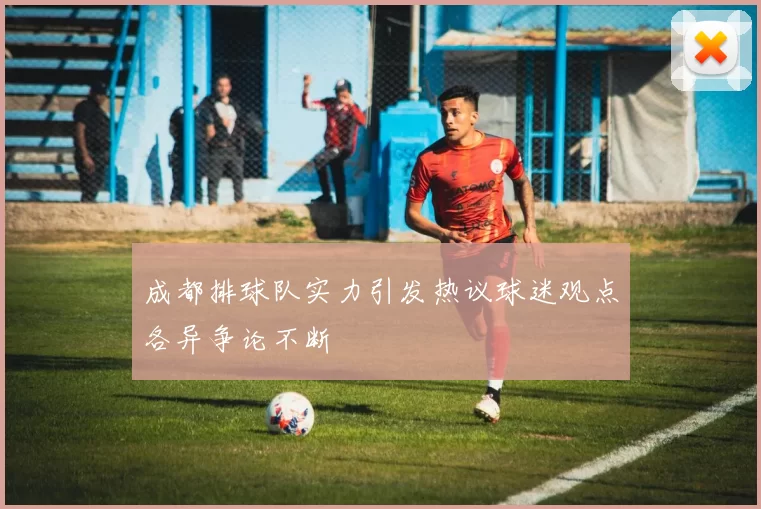 成都排球队实力引发热议球迷观点各异争论不断