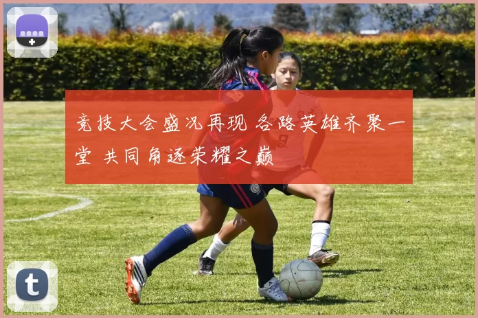竞技大会盛况再现 各路英雄齐聚一堂 共同角逐荣耀之巅