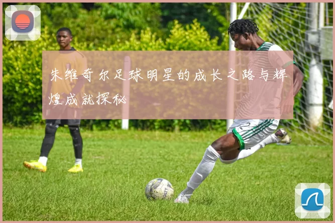 朱维奇尔足球明星的成长之路与辉煌成就探秘