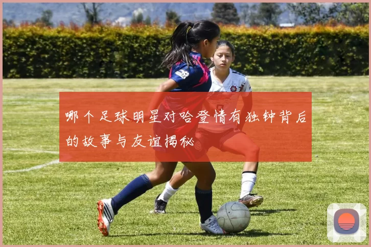 哪个足球明星对哈登情有独钟背后的故事与友谊揭秘