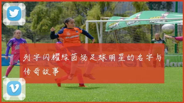 列字闪耀绿茵场足球明星的名字与传奇故事