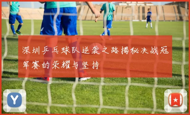 深圳乒乓球队逆袭之路揭秘决战冠军赛的荣耀与坚持