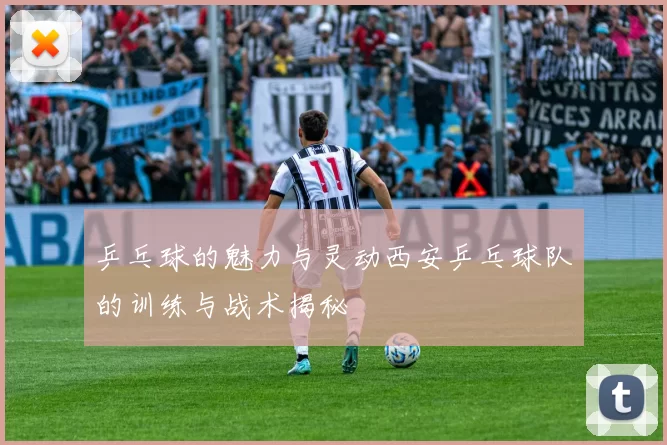 乒乓球的魅力与灵动西安乒乓球队的训练与战术揭秘