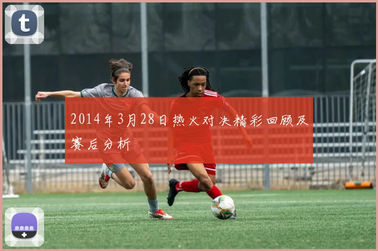 2014年3月28日热火对决精彩回顾及赛后分析