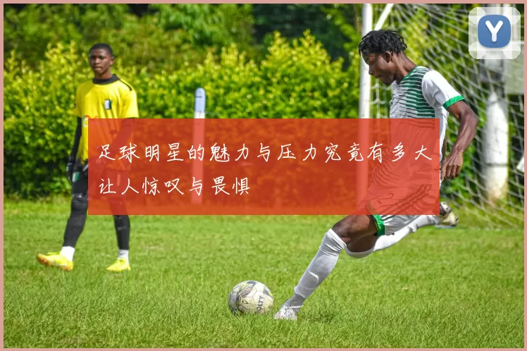 足球明星的魅力与压力究竟有多大让人惊叹与畏惧