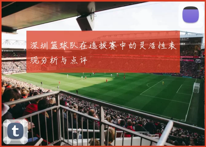 深圳篮球队在选拔赛中的灵活性表现分析与点评